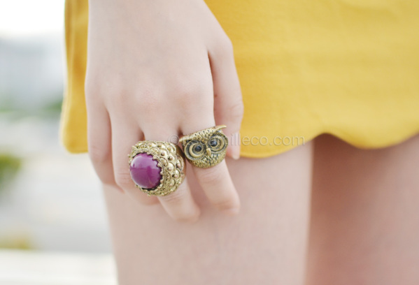 itscamilleco.comDSC_0252